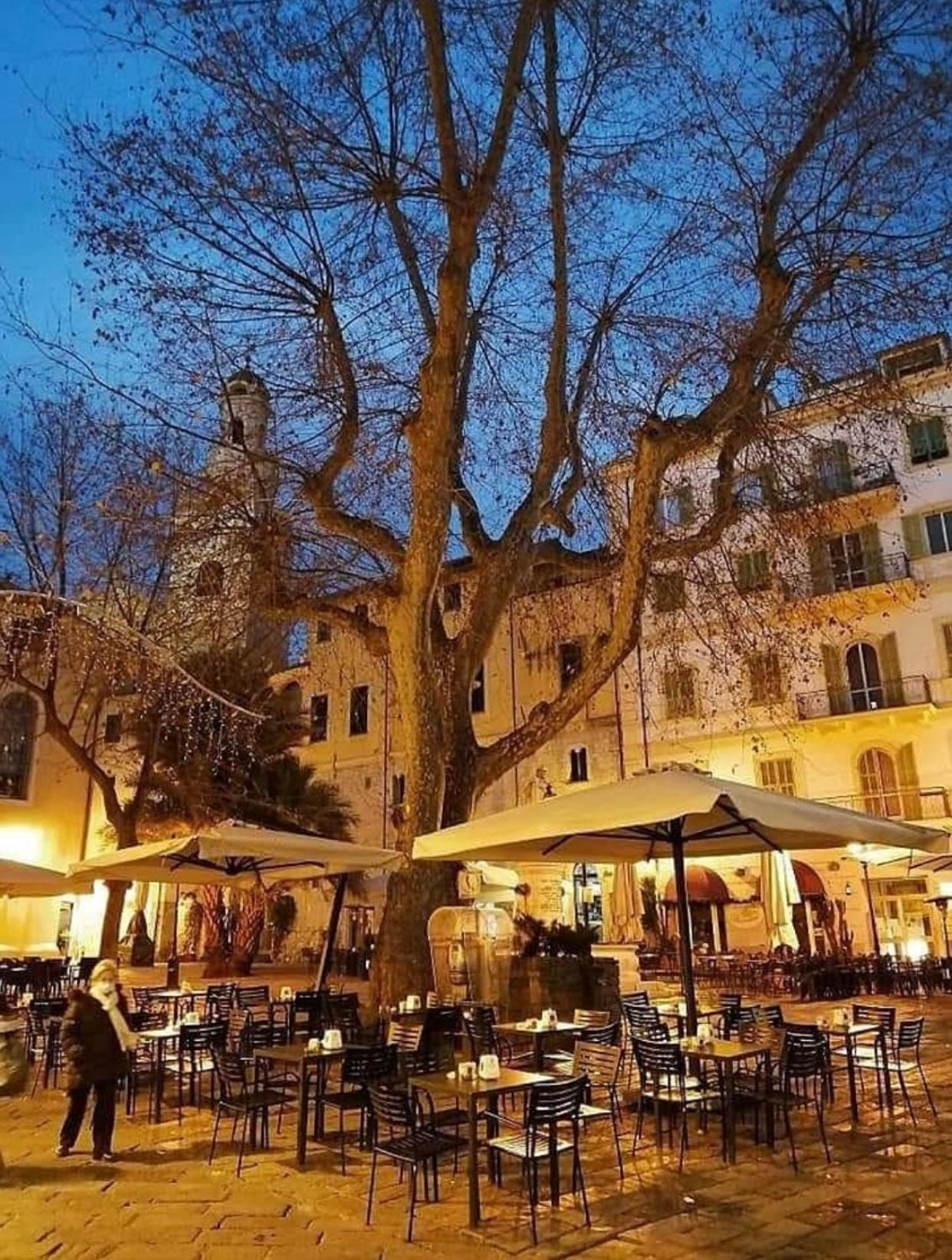 Casa Girasole Sanremo Centro Apartment ภายนอก รูปภาพ